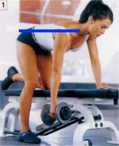 広背筋のトレーニング(5):One Arm Dumbbell Row