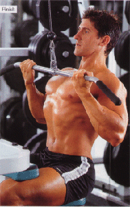 広背筋のトレーニング(6):Reverse Grip Lat Pull Down
