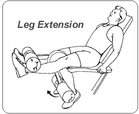 Leg Extension