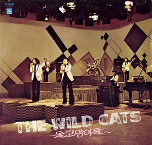 野良猫（Wild Cats）