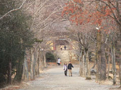 浮石寺：天王門への道