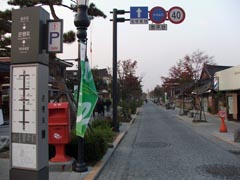 銀杏路